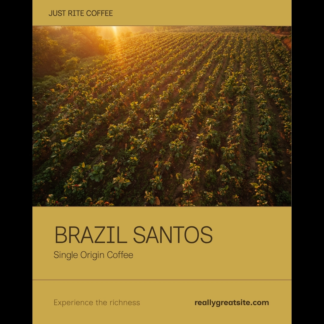 Brazil Santos Single Origin Coffee - Mogiana Region