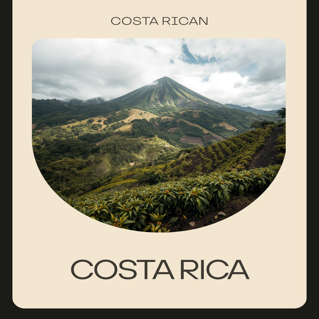 Costa Rica Single Origin Coffee - Central Valley
